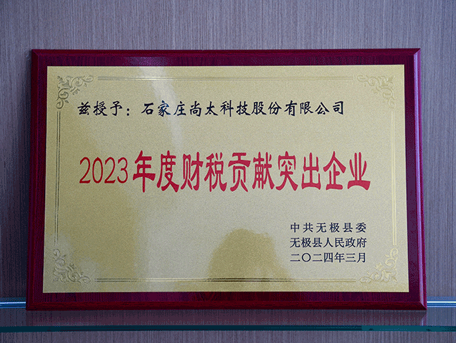 2023年度财税孝顺突出企业-县人民政府202403.png